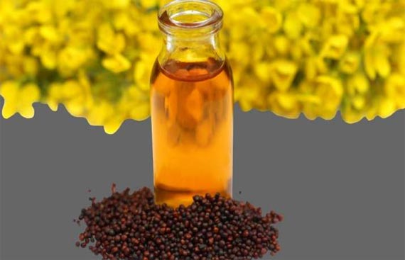 Clinical studies find mustard oil may be best for your heart: Experts