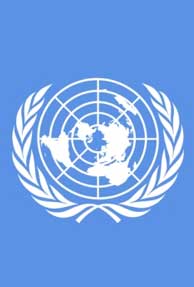 IT majors vie for UN ERP project 