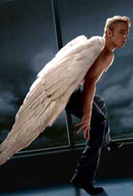 angel investor, canaan partner, august capital partner, nexus venture partner, indian angel network,