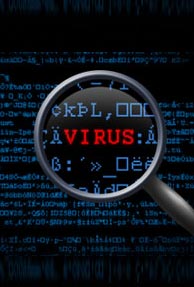 Americans are worried about computer viruses than H1N1 