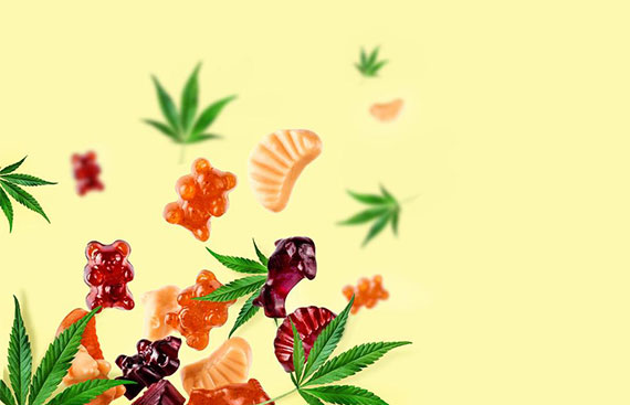 Where to Buy CBD Gummies for ED: Online Retailers and Local Dispensaries 
