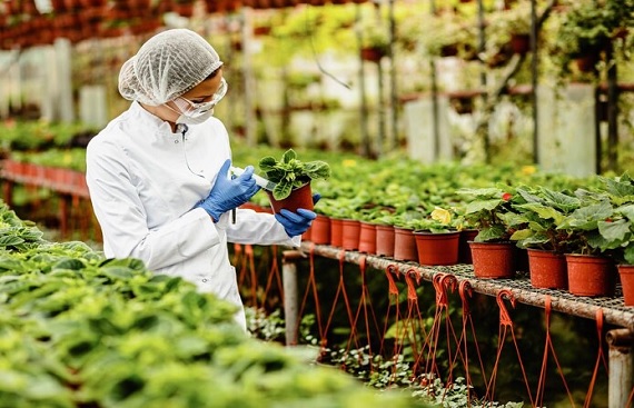 Binny Bansal Explores More Investments in Ankit Nagori's Curefoods