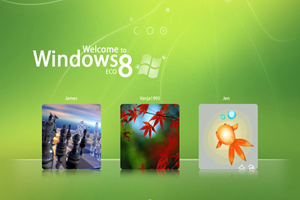 Microsoft Launches Windows 8 In India