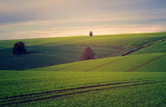 How to check the land records of Bhulekh UP?