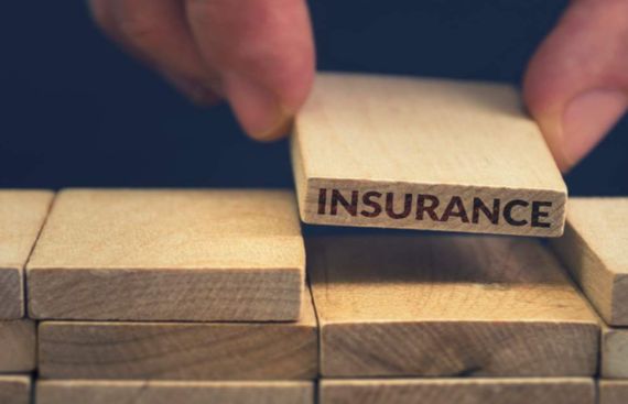 IRDAI Pitches 'Model Insurance Village' Enroots Insurance in Rural India