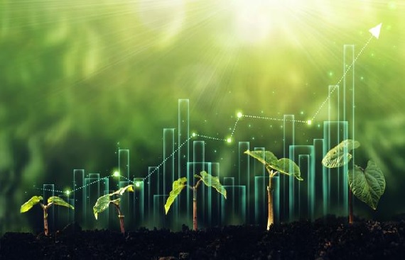 Indo-Pacific Economic Framework Launches Forum to Boost Clean Economy Growth