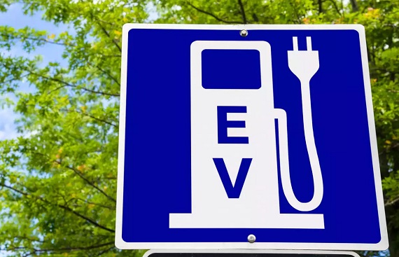 EV startups vertically integrated, standalone component maker will continue: ACMA