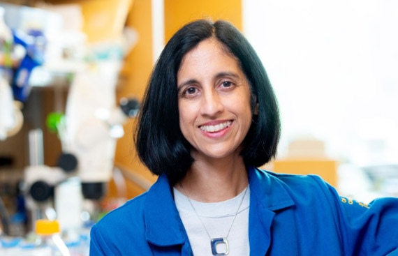 Indian-American Professor Tejal Desai Elected Dean of Brown University, School of Engineering