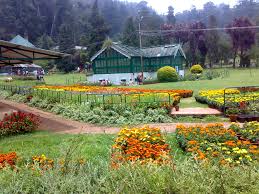 Ooty Government Rose Garden