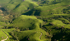 Famous Trekking Spots in South India