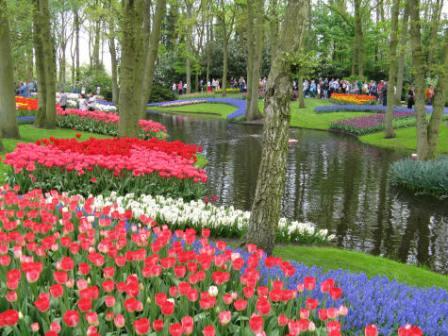 Netherlands Keukenhof gardens