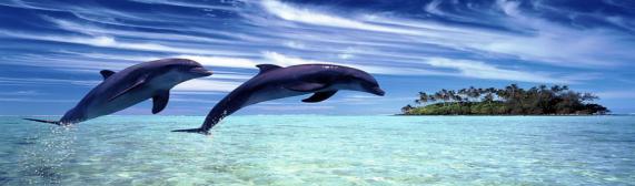 Romantic Honeymoon Resorts In Maldives