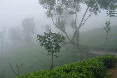 Climate in Sri Lanka 